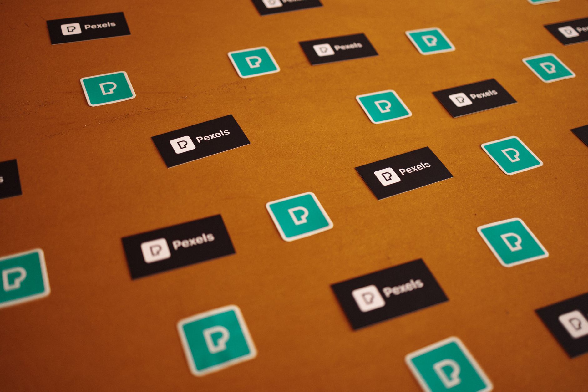 Planche d’identité visuelle avec palette de couleurs et logo